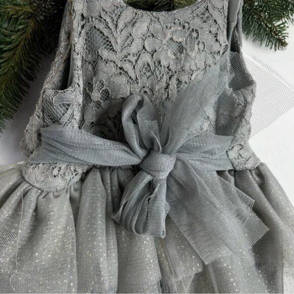 NWOT Pink & Violet Sleeveless Lace Glitter Mesh Dress - Picture 9 of 11